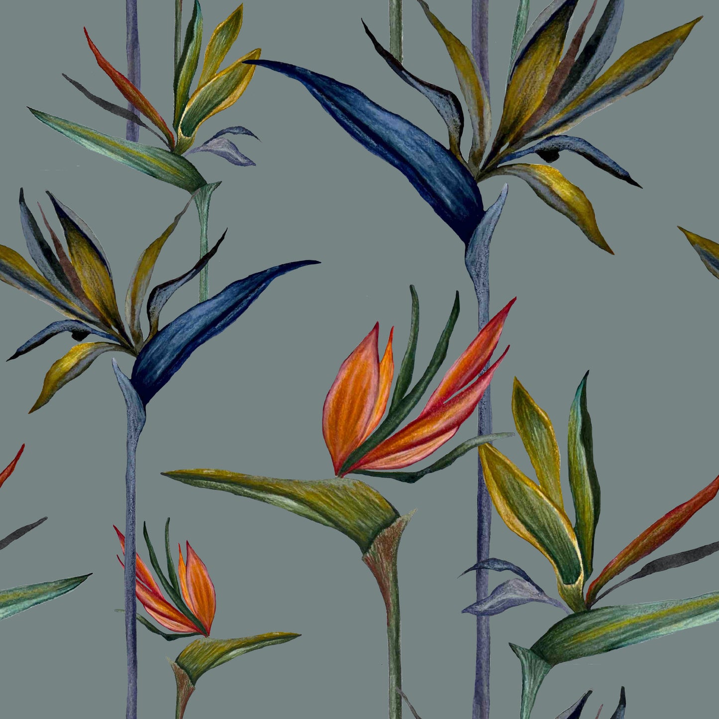 Strelitzia Stripe - Wallpaper