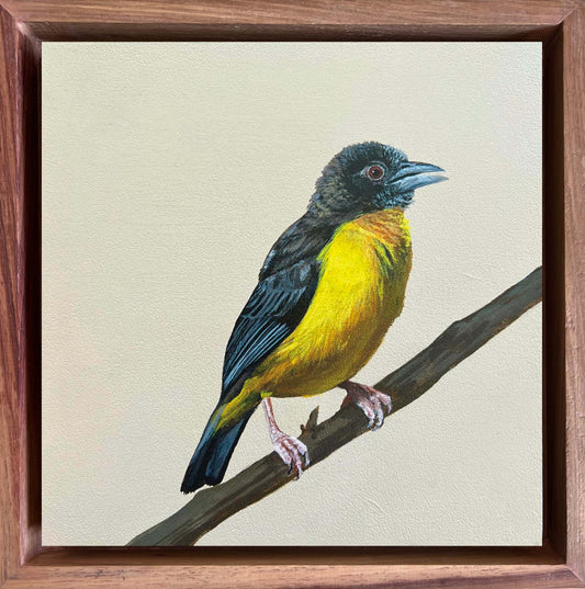 Colorful bird painting on a textured beige background with a wooden frame. International shipping, birders, bird artist, detail art birds, bird commissions, bird paintings