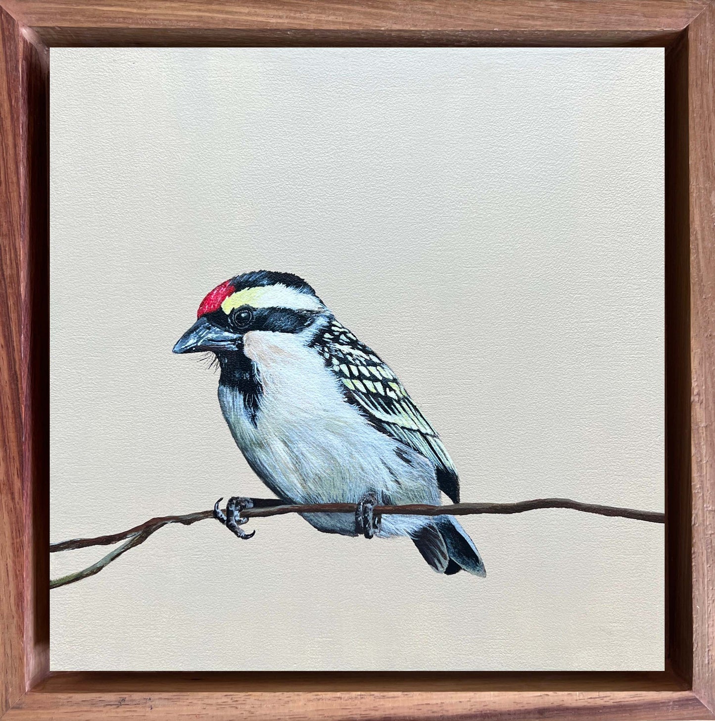 Bird Painting Commission
