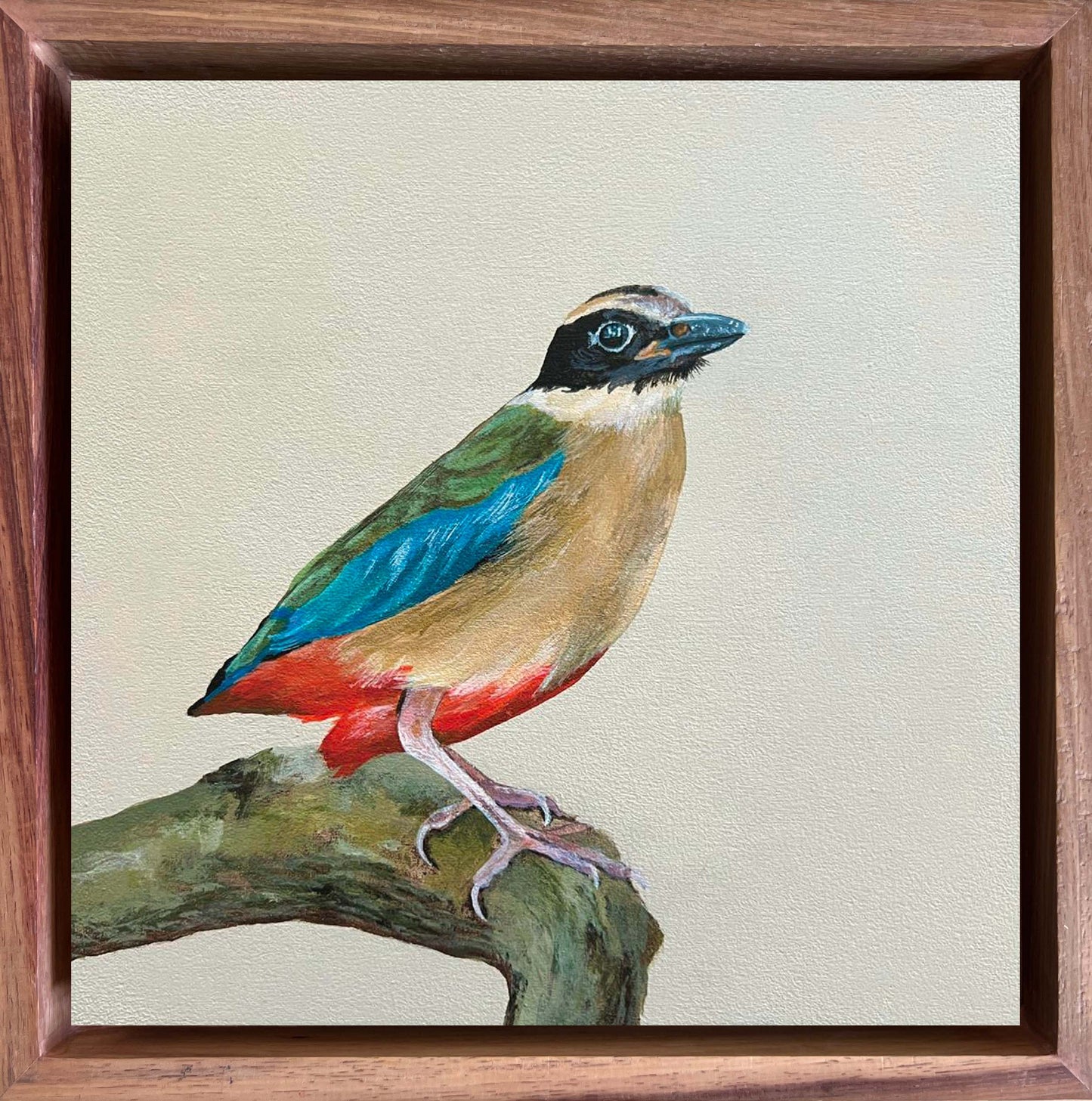 African Pitta - Bird Painting