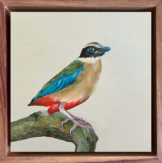 Colorful bird painting on a textured beige background with a wooden frame. International shipping, birders, bird artist, detail art birds, bird commissions, bird paintings