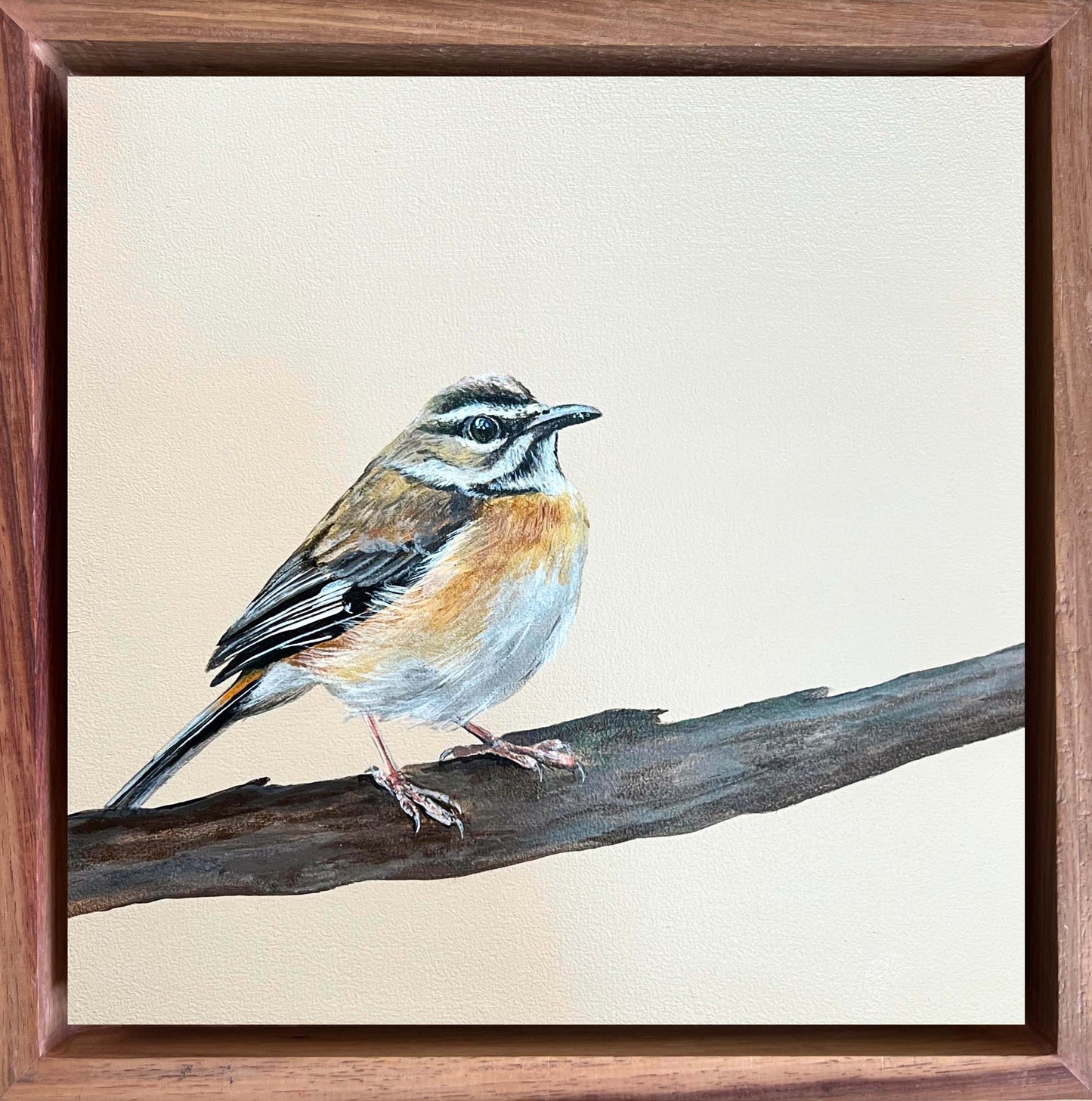 Bird Painting Commission