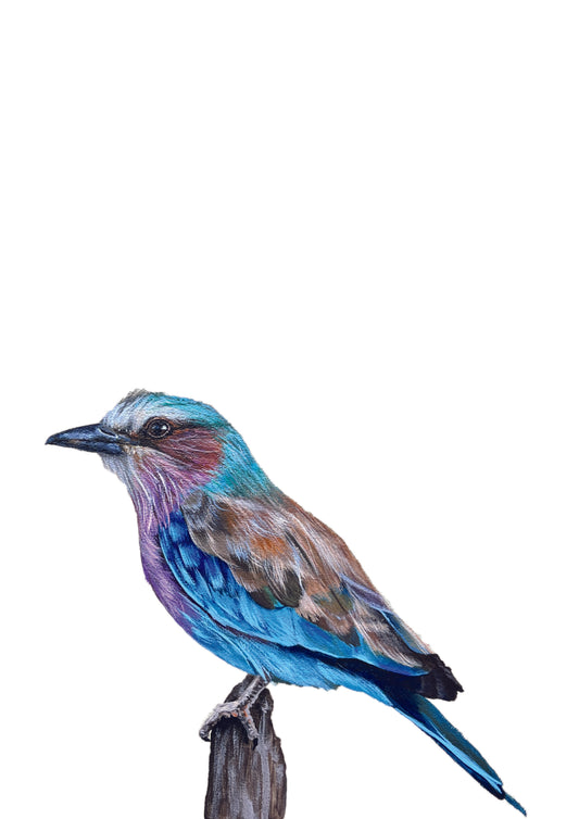 Lilac Breasted Roller Bird Art - Diamond Paintings 