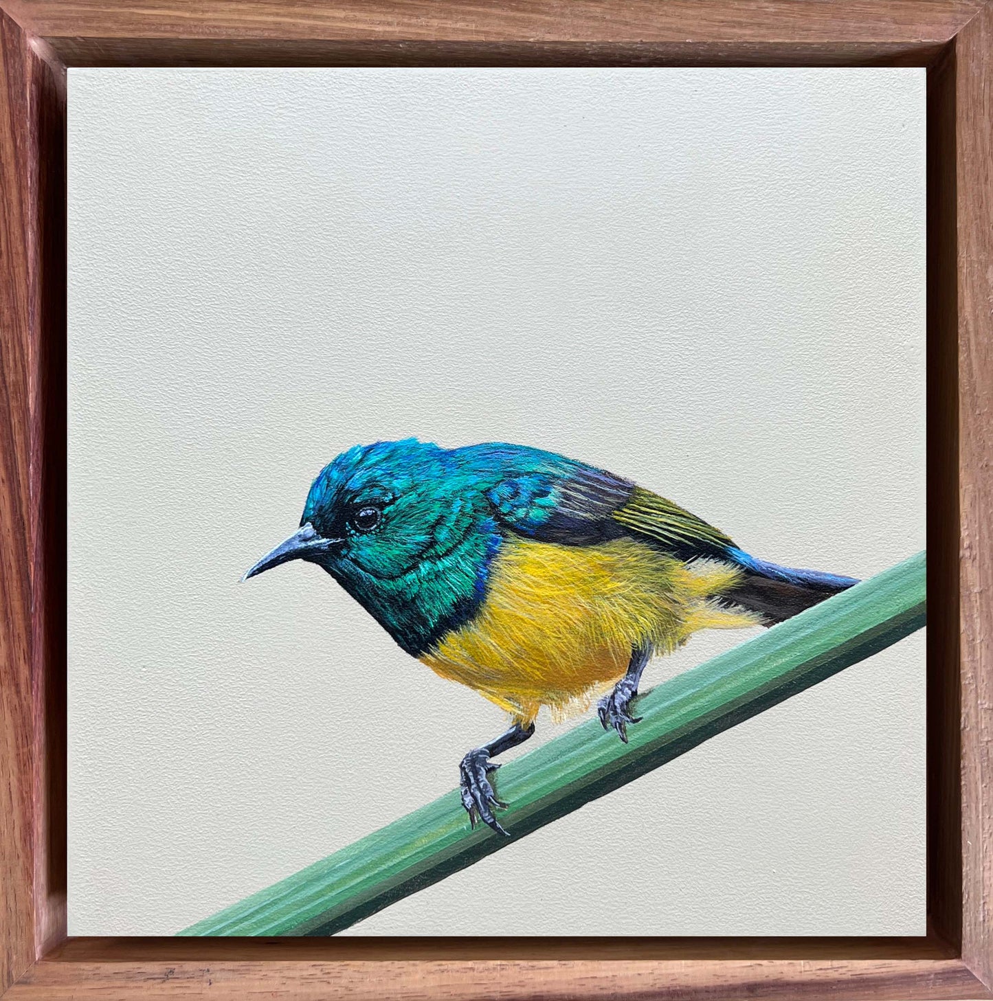 Bird Painting Commission