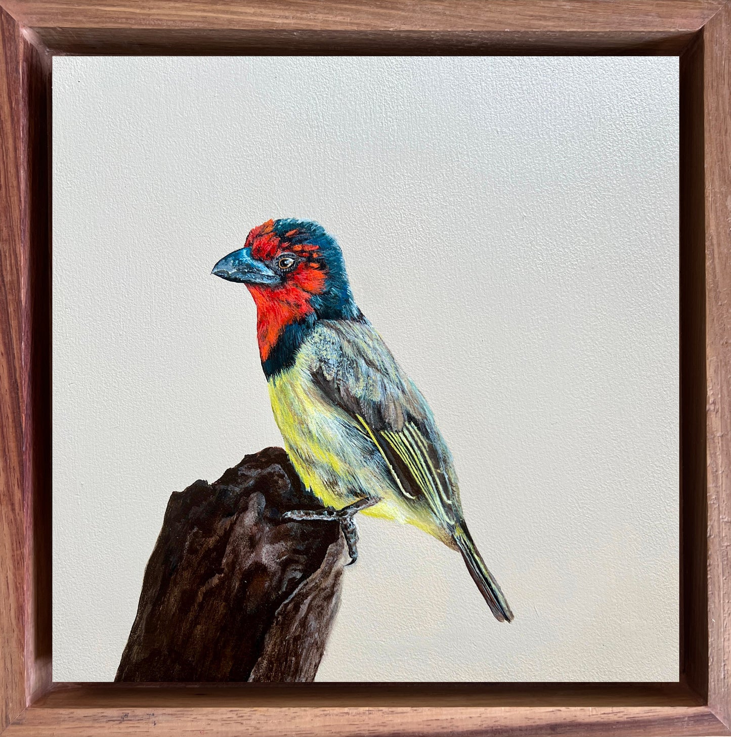 Bird Painting Commission