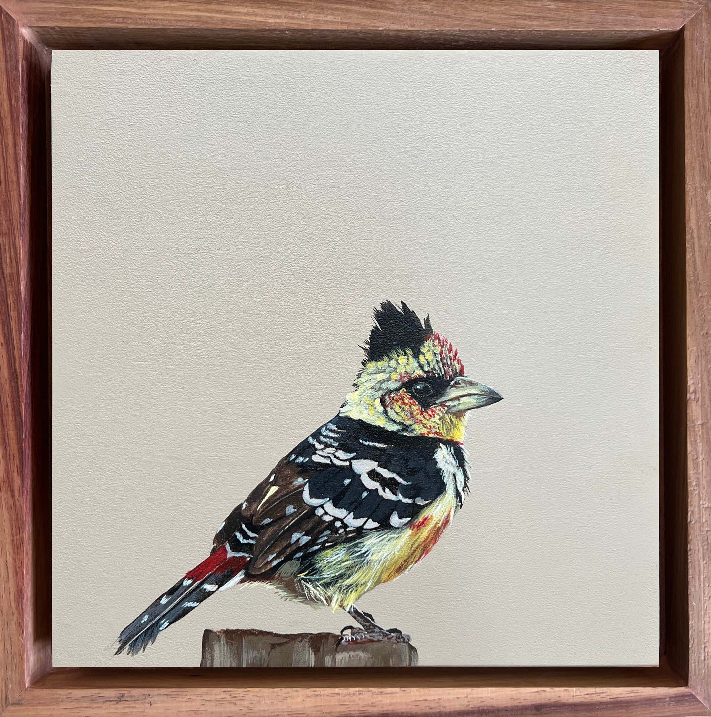 Bird Painting Commission