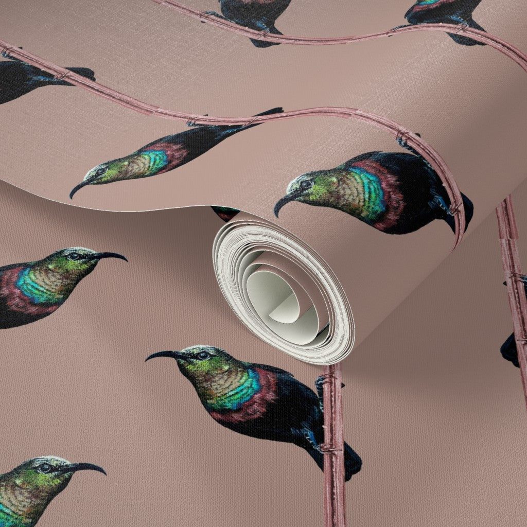 Hand-Painted Marico Sunbird Stripe Wallpaper