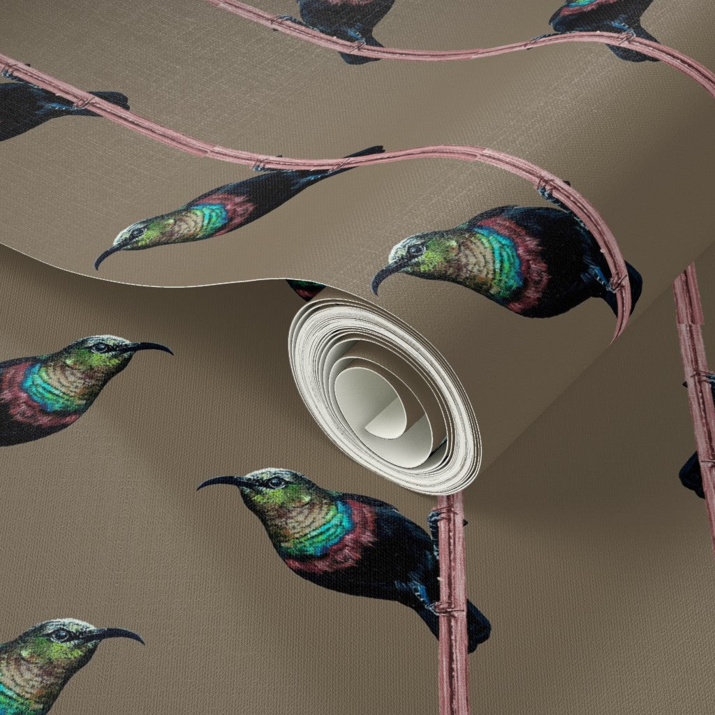Hand-Painted Marico Sunbird Stripe Wallpaper