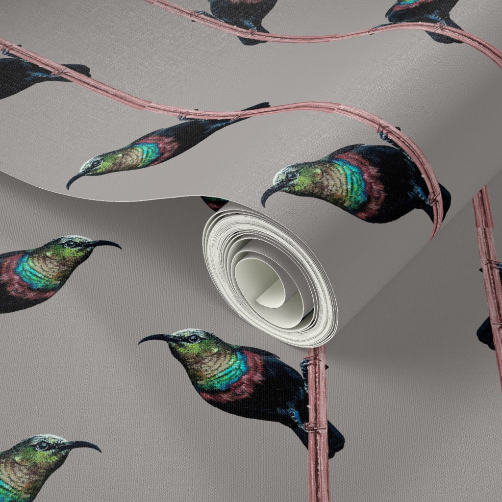 Hand-Painted Marico Sunbird Stripe Wallpaper
