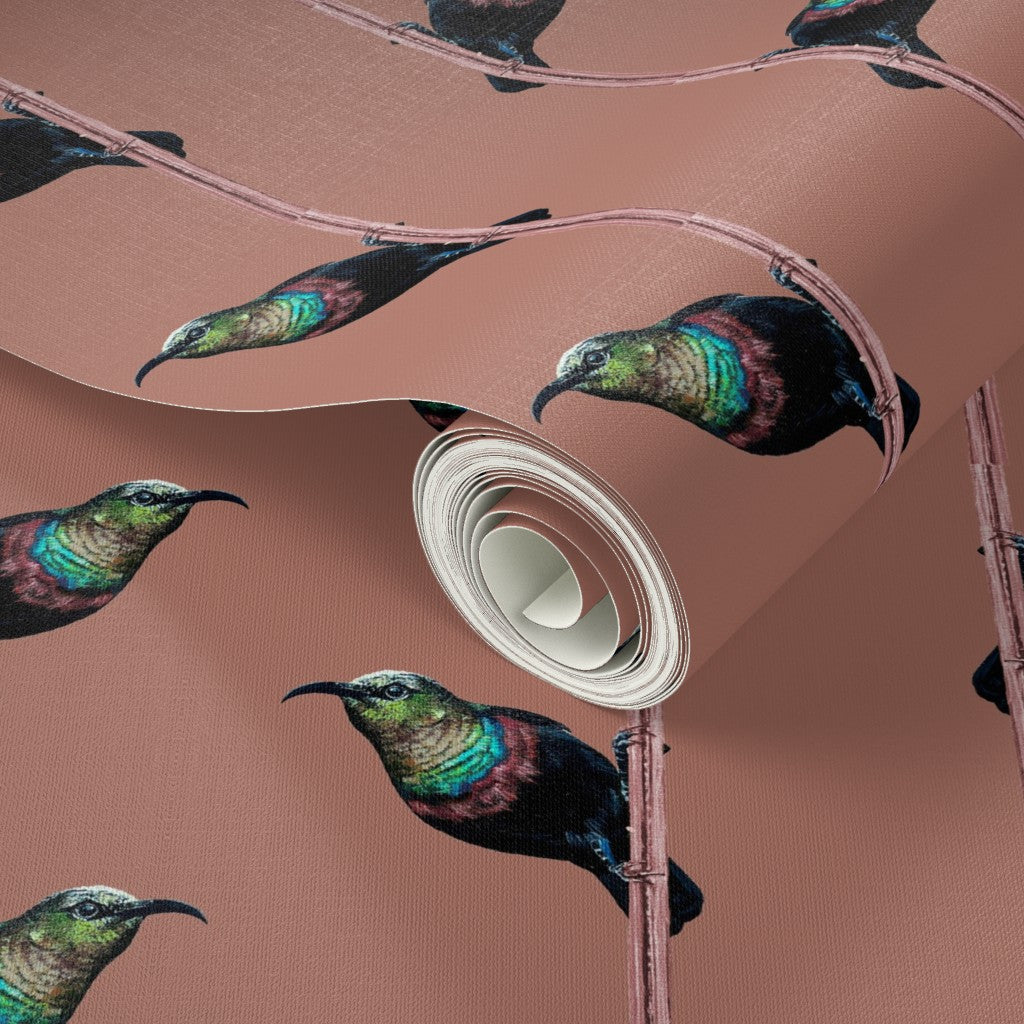 Hand-Painted Marico Sunbird Stripe Wallpaper