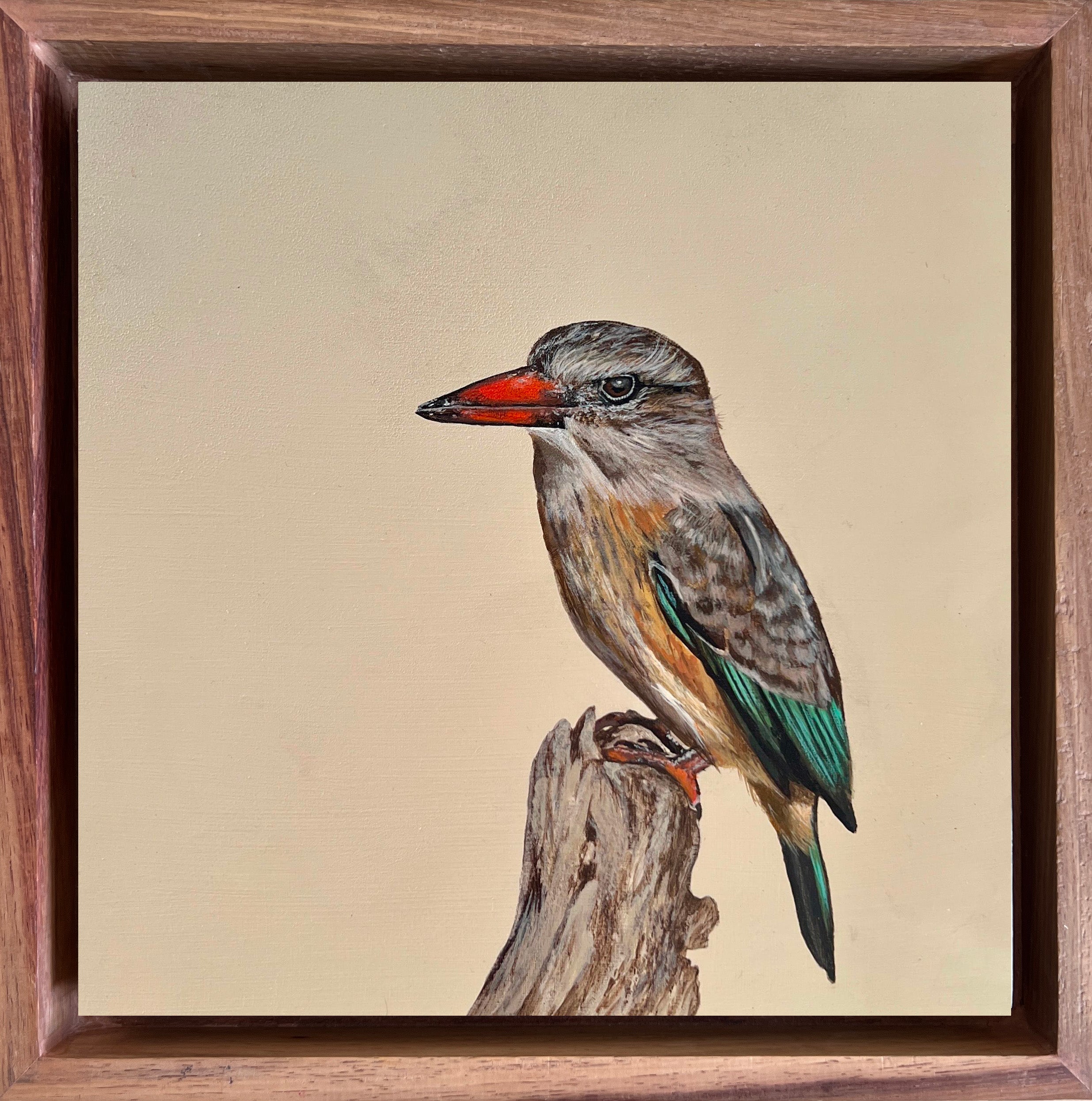 kingfisher
painting
bird
bird art
bird artist
detailed birds
gifts
bird artist
birder
birds of south africa
painting of birds
bird artwork
bird commission