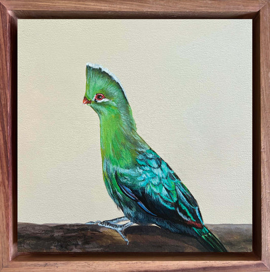 Colorful bird painting on a textured beige background with a wooden frame. International shipping, birders, bird artist, detail art birds, bird commissions, bird paintings