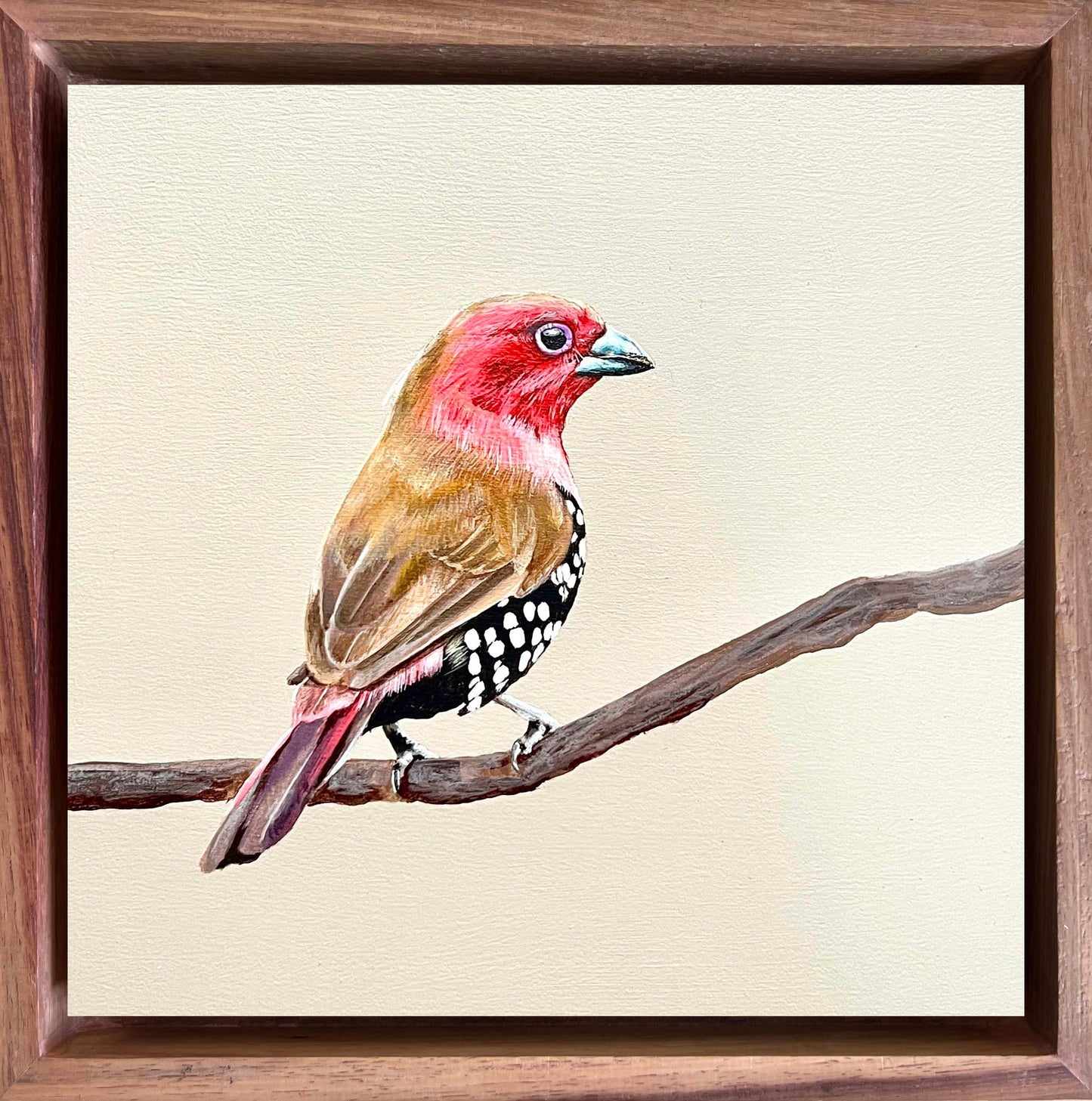Bird Painting Commission