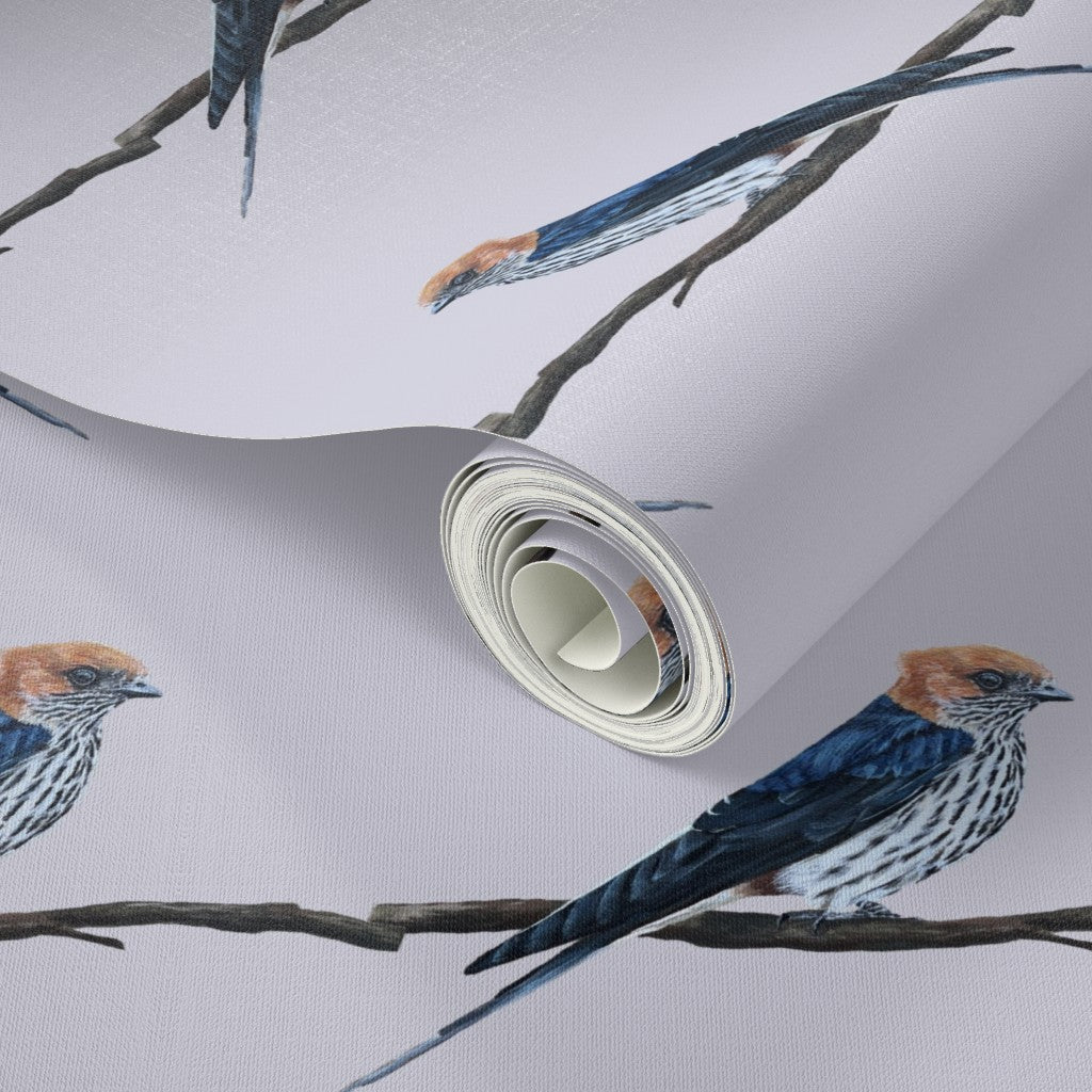 Swallow Social Wallpaper