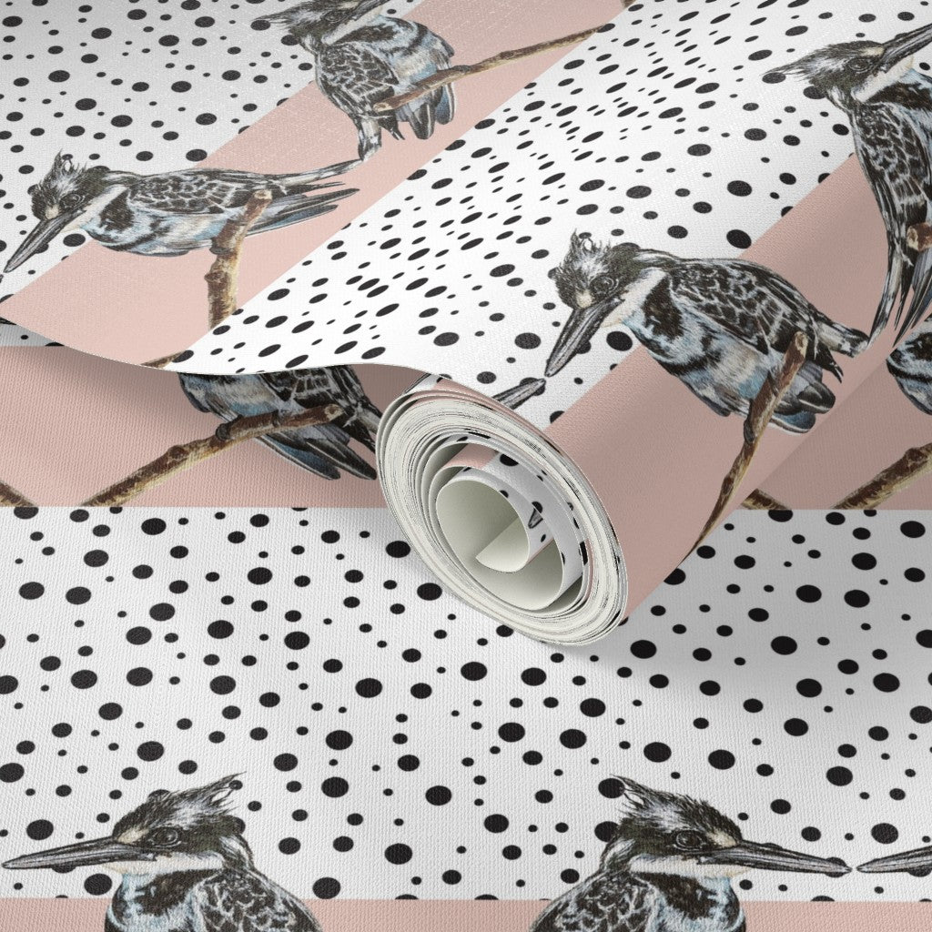 Whimsical Pied Kingfisher Wallpaper