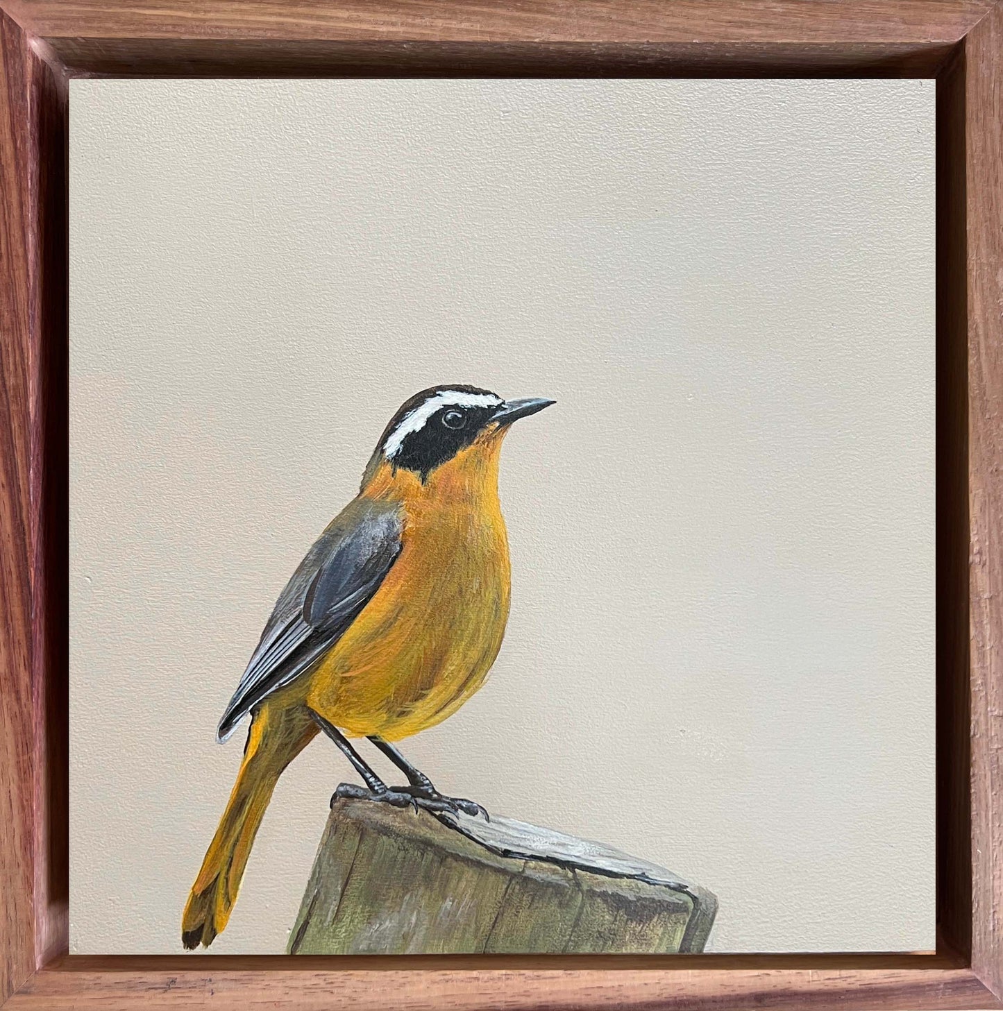 Bird Painting Commission