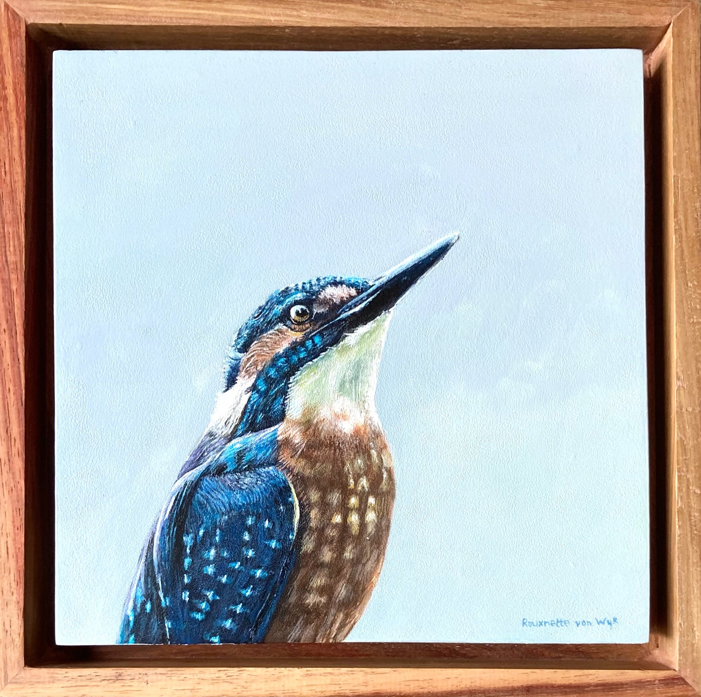 Art, Artist, Bird Art, Bird Painting, Painting, Birds of South Africa, Fine Art, Heidelberg Gauteng, Kingfisher