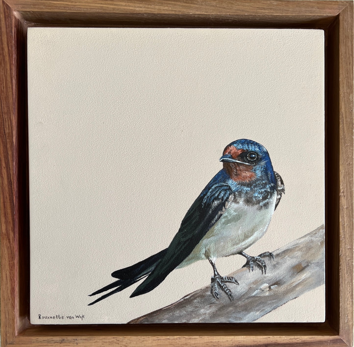 Barn Swallow - Bird Painting