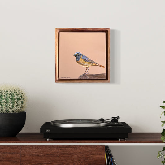 Common Redstart - Bird Painting