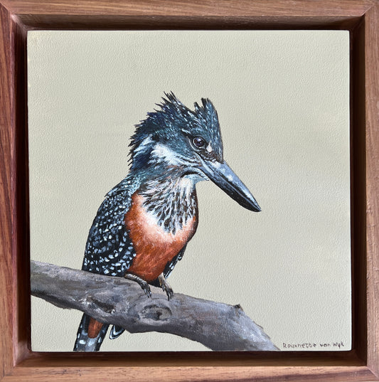 Giant Kingfisher - Bird Painting