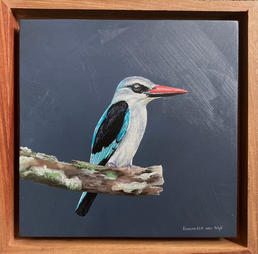 Art, Artist, Bird Art, Bird Painting, Painting, Birds of South Africa, Fine Art, Heidelberg Gauteng, Kingfisher, Woodland Kingfisher, Artwork, Fine Art, Detail Art Bird