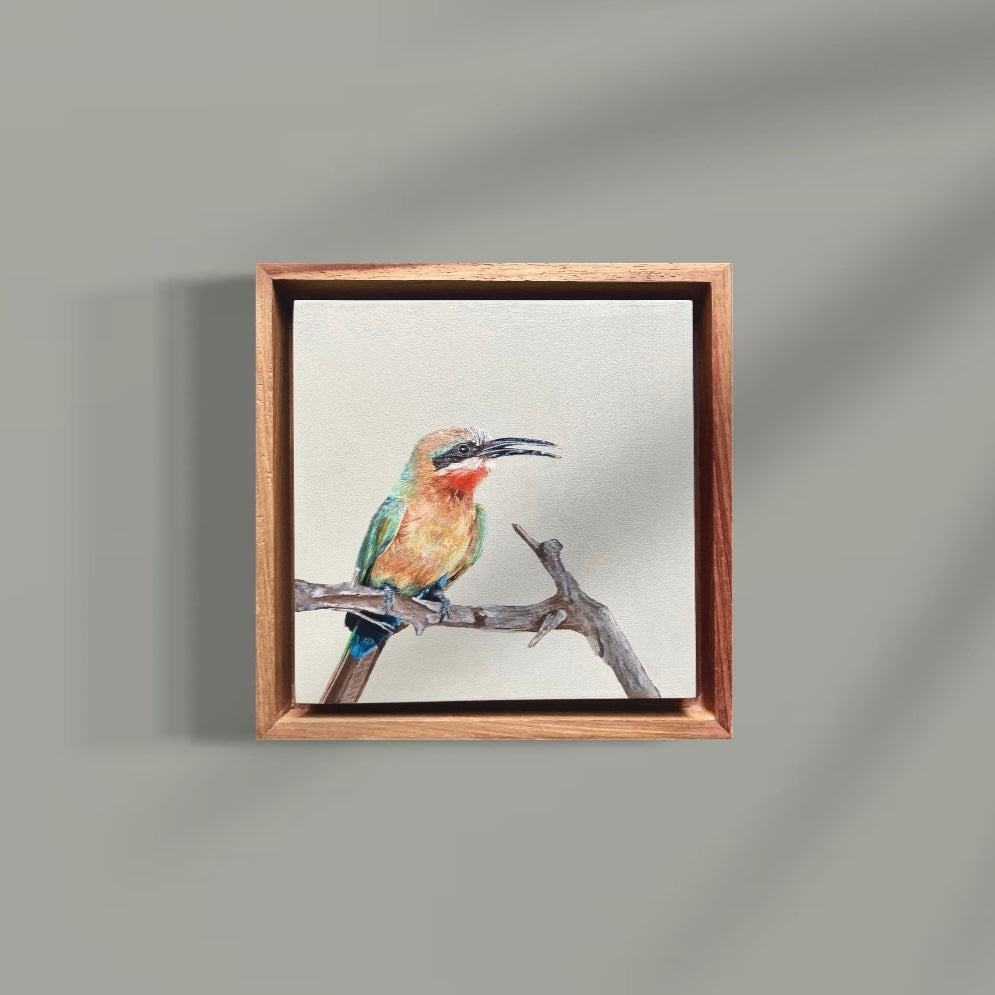 Art, Artist, Bird Art, Bird Painting, Painting, Birds of South Africa, Fine Art, Heidelberg Gauteng, Prints, Print, Print Art, Printed Artwork, Print, Printed Art, Artwork Prints, White-fronted bee-eater, bee-eater bird art