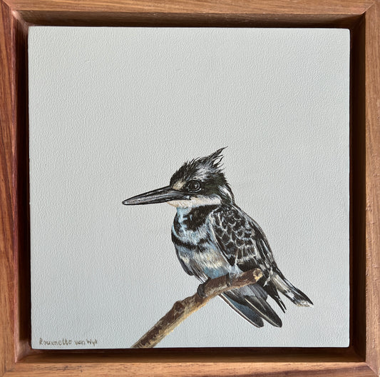 Pied Kingfisher - Bird Painting