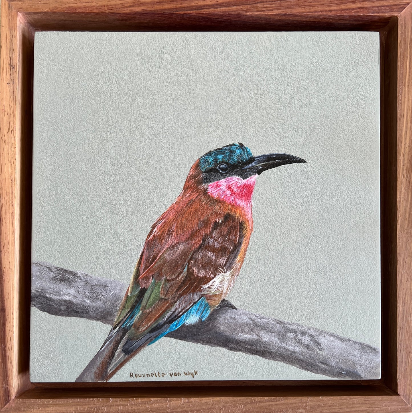 Southern Carmine Bee-eater - Bird Painting